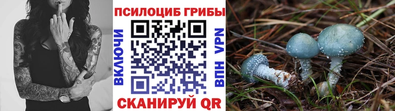 omg онион  Белёв  Псилоцибиновые грибы MAGIC MUSHROOMS 